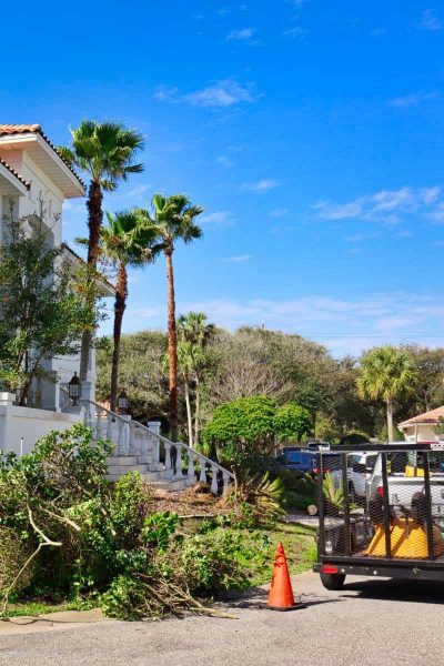 McDaniels-Landscaping-Company-Jacksonville-FL (8)