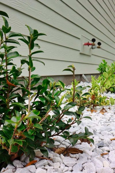 McDaniels-Lawn-Care-Landscaping-Jacksonville-FL-1.jpg (12)
