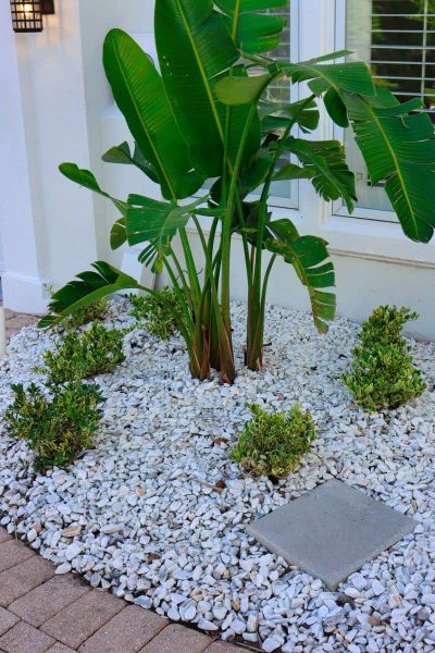 McDaniels-Lawn-Care-Landscaping-Jacksonville-FL (34)